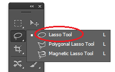 Lasso Tool in Photoshop