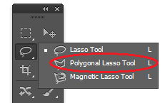 polygonal lasso tool