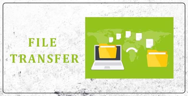 File Transfer and Compatibility