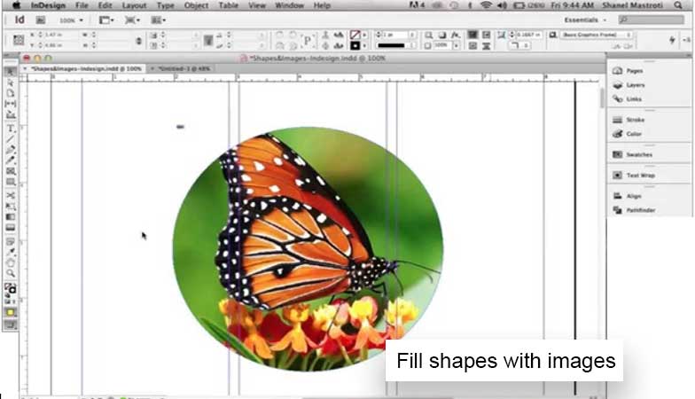 Graphic Design Institute - Fill Shape with Image in Adobe InDesign